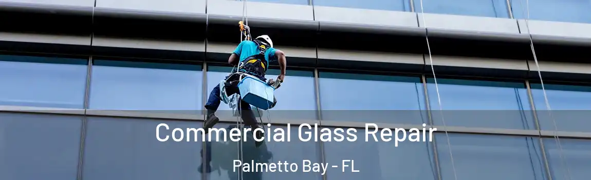  Commercial Glass Repair Palmetto Bay - FL